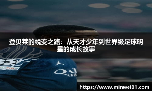 彩神VI首页官网