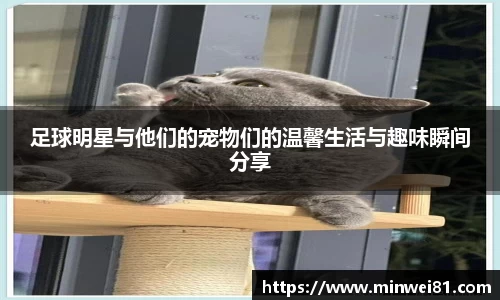 彩神VI首页官网