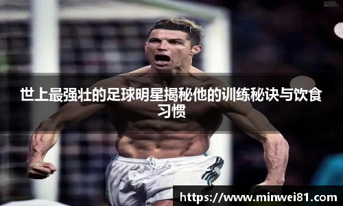 彩神VI首页官网